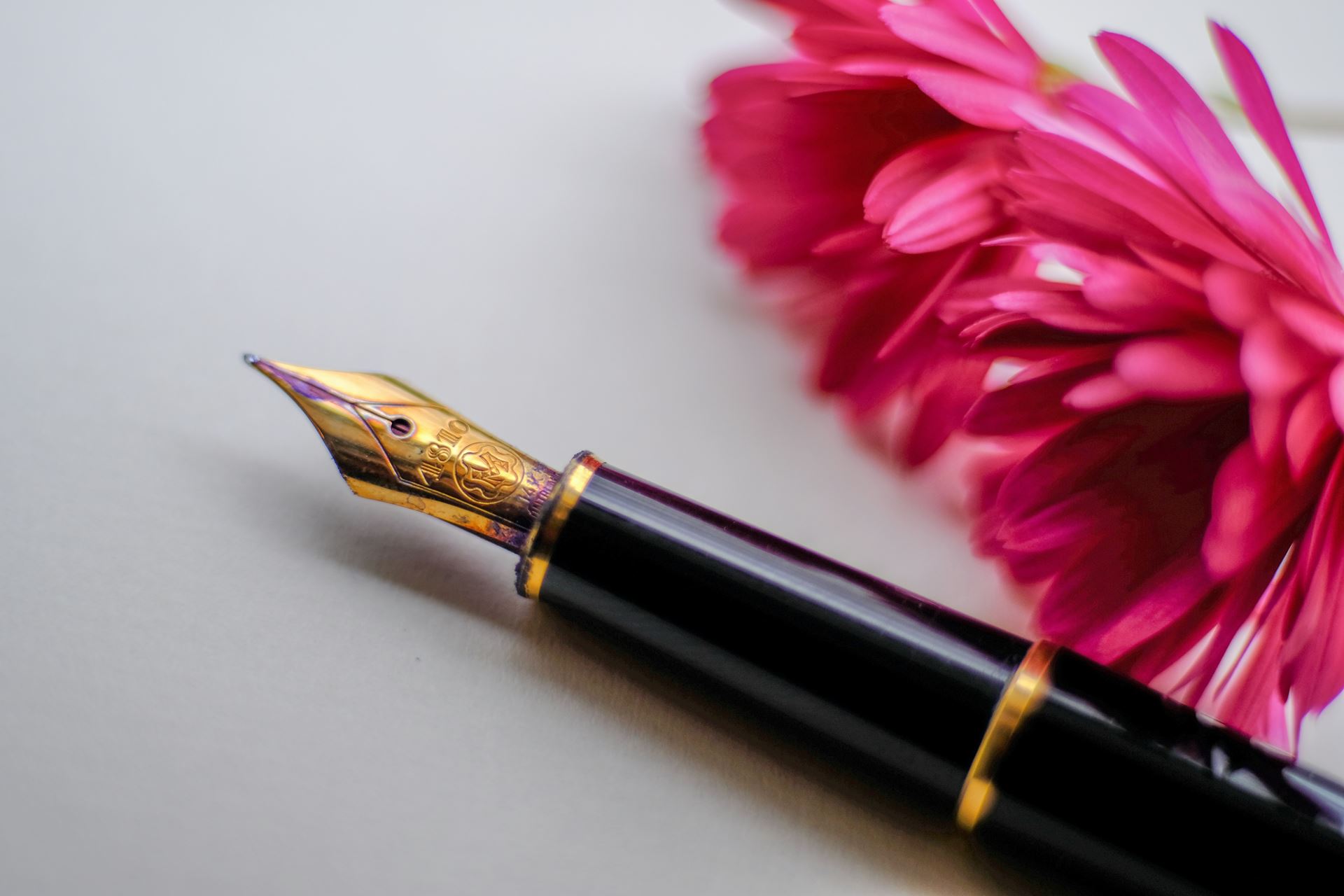 Fountain pen on paper with a pink flower next to it